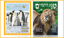 גיליון של 'טבע הדברים'