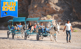 טיול בכרכרות רתומות לחמורים