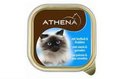 שימורי ATHENA לחתול